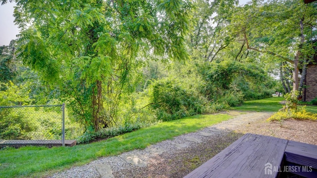 2413 Old Stone Mill Dr, East Windsor, NJ 08512 - view of green lawn