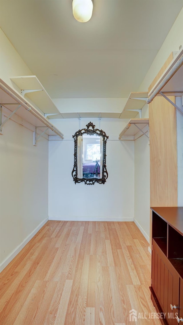 2413 Old Stone Mill Dr, East Windsor, NJ 08512 - spacious closet featuring light wood-style flooring