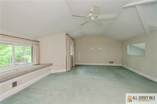 130 Sayre Dr, Plainsboro, NJ 08540 - additional living space featuring carpet floors, lofted ceiling, baseboards, a ceiling fan, and a textured ceiling