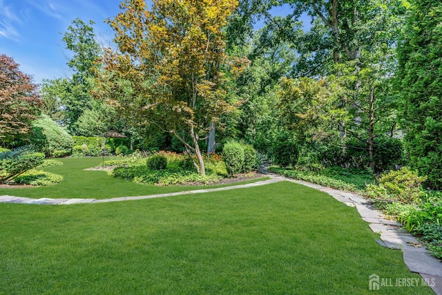 30 Daniel Dr, Matawan, NJ 07747 - view of grassy yard