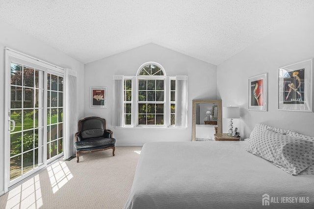 5 Fairway Blvd Unit 5, Monroe, NJ 08831 - bedroom featuring carpet flooring, lofted ceiling, and a textured ceiling
