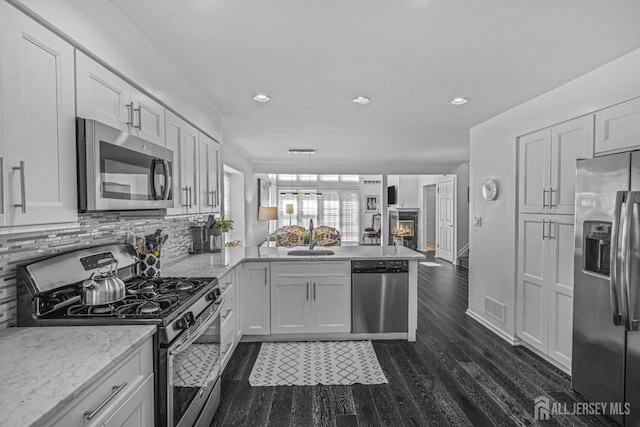 5 Fairway Blvd Unit 5, Monroe, NJ 08831 - kitchen with stainless steel appliances, a peninsula, dark wood-style floors, tasteful backsplash, and open floor plan