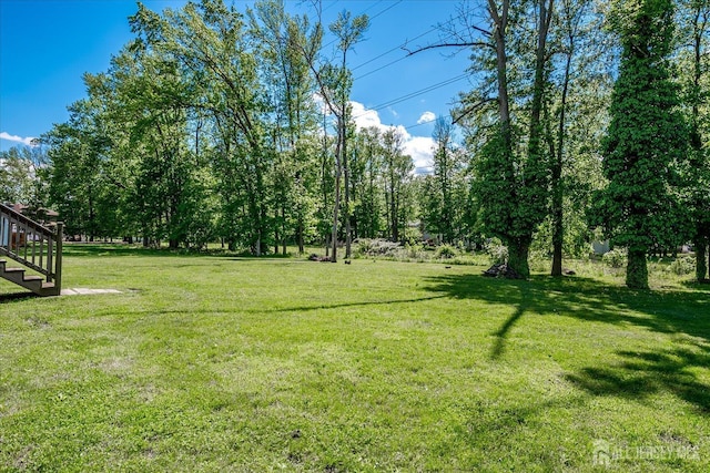 87 Ellmyer Rd, Edison, NJ 08820 - view of grassy yard