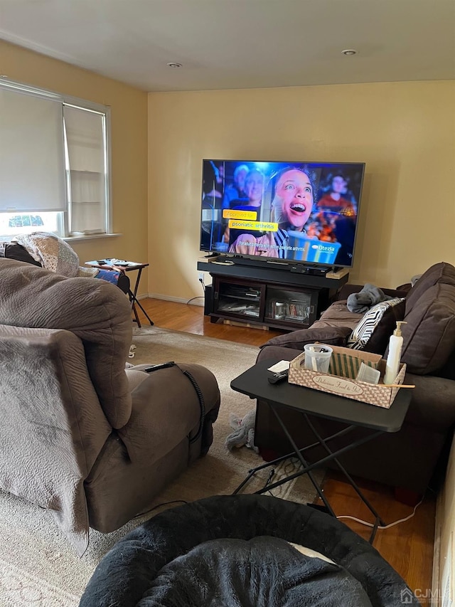 living room with hardwood / wood-style flooring