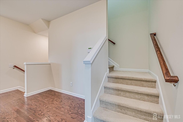 stairway with wood-type flooring