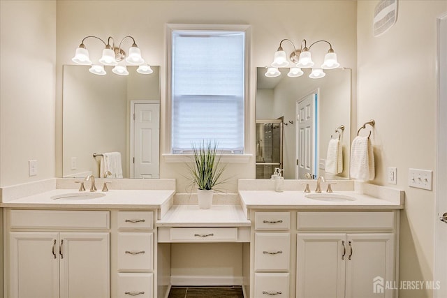 bathroom featuring vanity and a shower with shower door