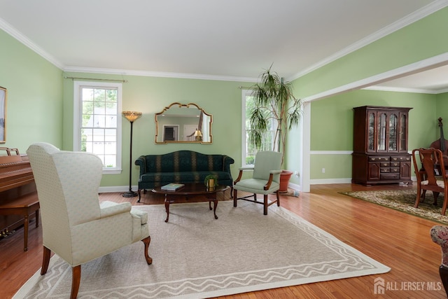 3 Wheatsheaf Ct, Plainsboro, NJ 08536 - living room featuring ornamental molding and wood finished floors