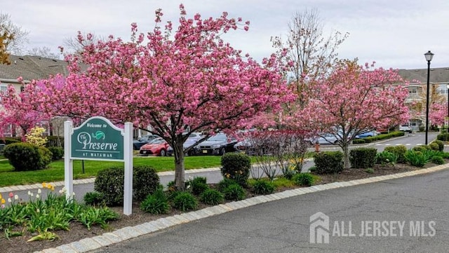 326 Sloan Ct, Matawan, NJ 07747 - view of asphalt road with street lighting