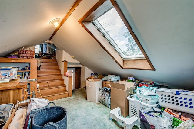 6 Dundar Rd, Edison, NJ 08817 - bonus room with a skylight, carpet floors, and vaulted ceiling