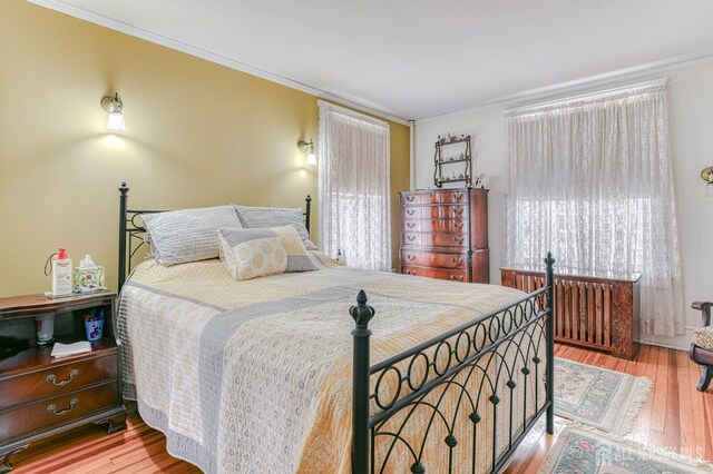 5 Llewellyn Pl, New Brunswick, NJ 08901 - bedroom with wood finished floors, crown molding, and radiator heating unit