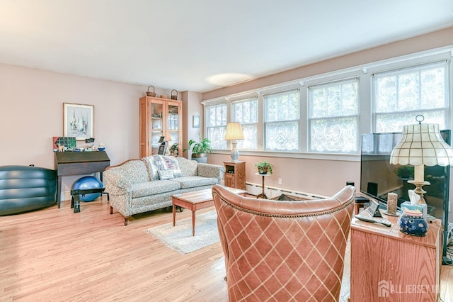 5 Llewellyn Pl, New Brunswick, NJ 08901 - living room with wood finished floors and a baseboard heating unit