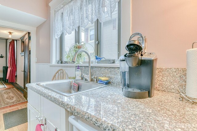 details featuring a sink, light countertops, and a wainscoted wall