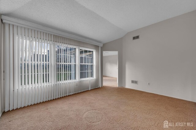 spare room with a textured ceiling, light carpet, a healthy amount of sunlight, and vaulted ceiling