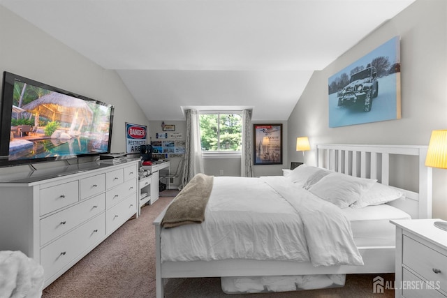 1058 Schmidt Ln, North Brunswick, NJ 08902 - bedroom featuring light carpet and vaulted ceiling