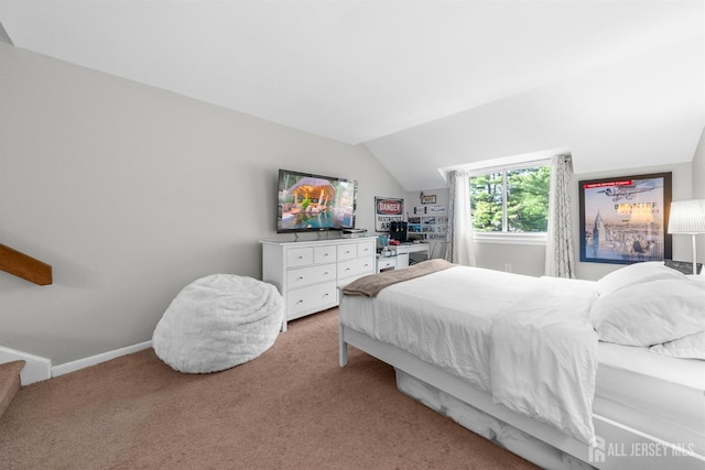 1058 Schmidt Ln, North Brunswick, NJ 08902 - bedroom with light colored carpet, lofted ceiling, and baseboards