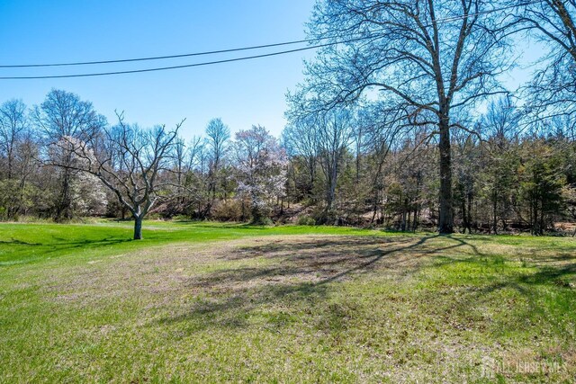 80 Gates Rd, Franklin Twsp, NJ 08873 - view of yard