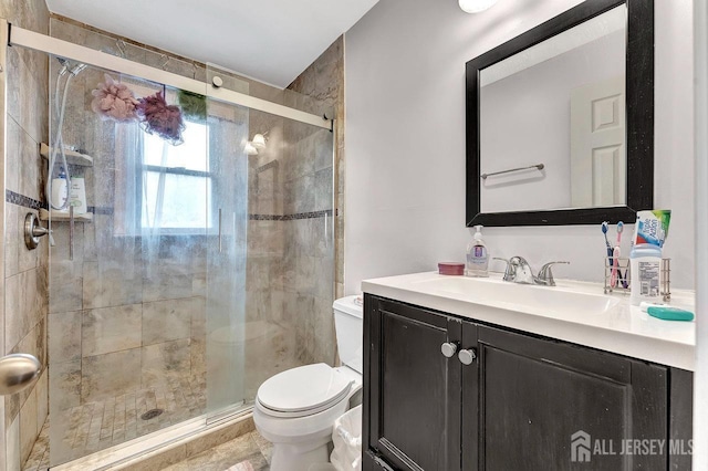 bathroom with toilet, a shower stall, and vanity