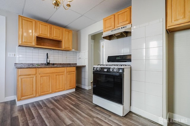 kitchen with dark wood-style floors, decorative backsplash, a sink, gas range, and under cabinet range hood