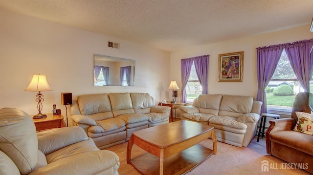 437 Belford Rd Unit B, Monroe, NJ 08831 - living room featuring plenty of natural light, light carpet, and a textured ceiling