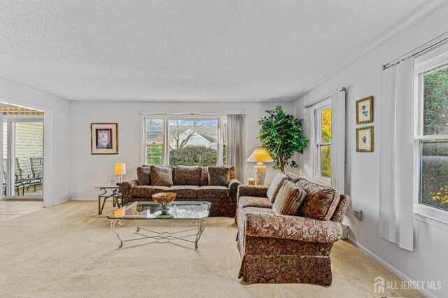 living room featuring a wealth of natural light, a textured ceiling, and light carpet