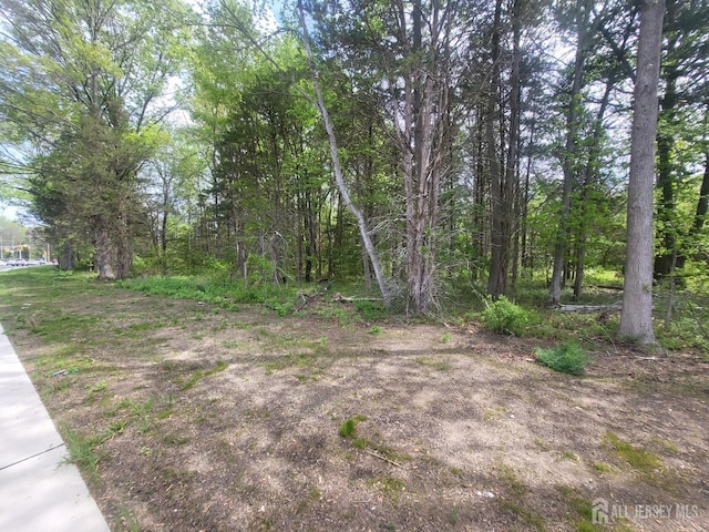 380-390 Mounts Mills Rd, Monroe, NJ 08831 - photo 5