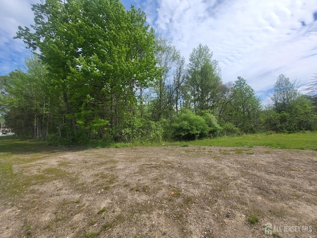 380-390 Mounts Mills Rd, Monroe, NJ 08831 - photo 6