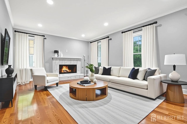 303 Grove Ave, Metuchen, NJ 08840 - photo 8