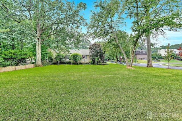 303 Grove Ave, Metuchen, NJ 08840 - photo 46