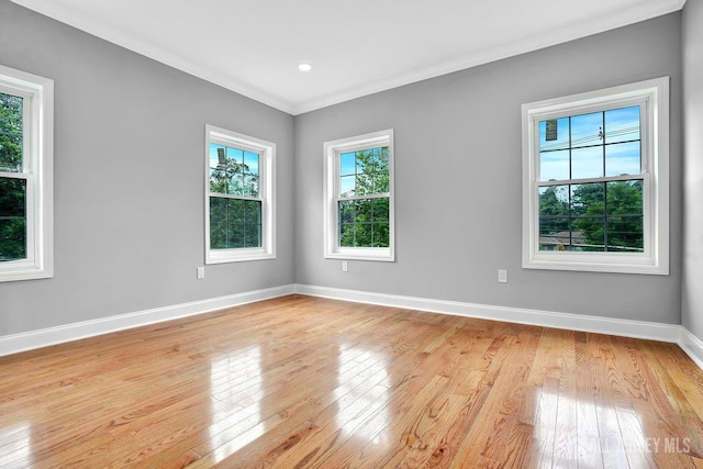 303 Grove Ave, Metuchen, NJ 08840 - photo 28