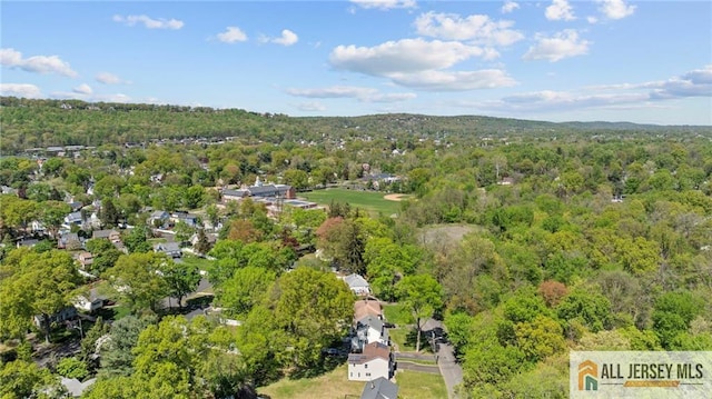 552 Parkview Ave, North Plainfield, NJ 07063 - aerial view of property and surrounding area featuring a forest