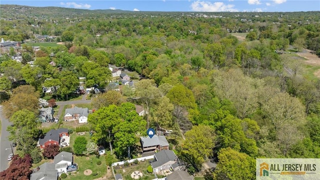 552 Parkview Ave, North Plainfield, NJ 07063 - view of property location featuring a heavily wooded area and nearby suburban area