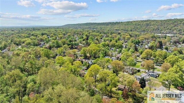 552 Parkview Ave, North Plainfield, NJ 07063 - bird's eye view of a forest