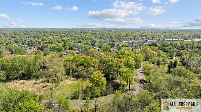 552 Parkview Ave, North Plainfield, NJ 07063 - aerial view of a forest
