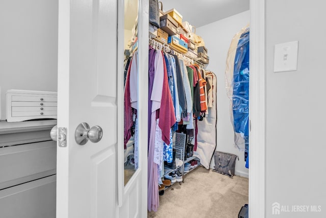2207 Timber Ridge Ct, Sayreville, NJ 08859 - spacious closet featuring carpet flooring