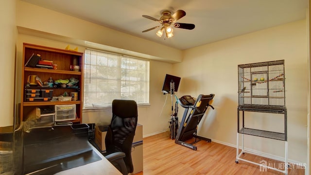 office space featuring ceiling fan and light hardwood / wood-style floors