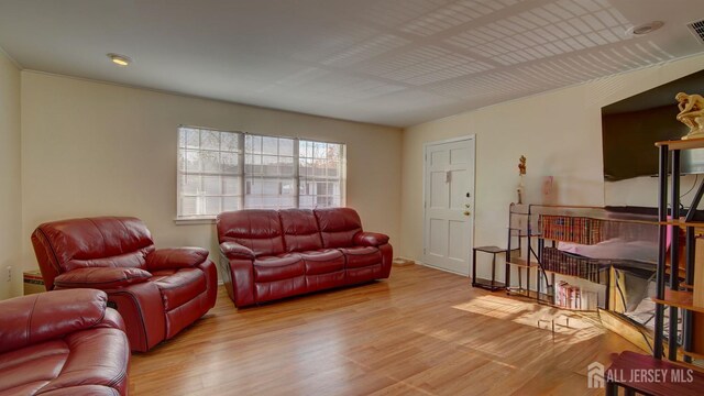 living room with light wood-type flooring