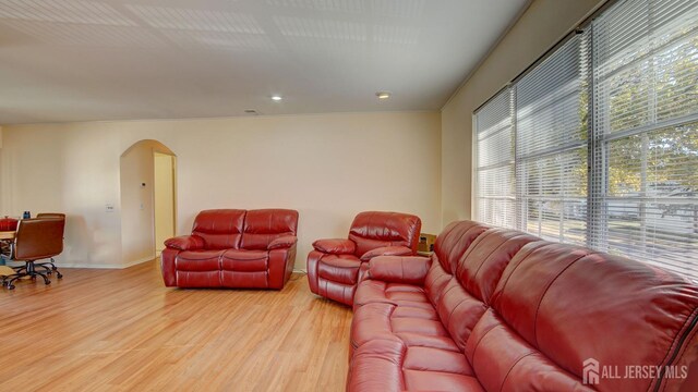 living room with light hardwood / wood-style floors