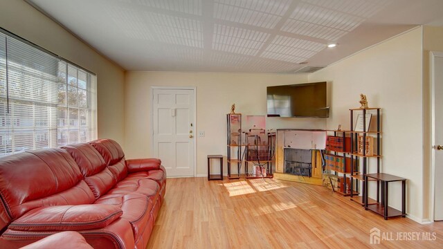 living room featuring wood-type flooring and a tile fireplace