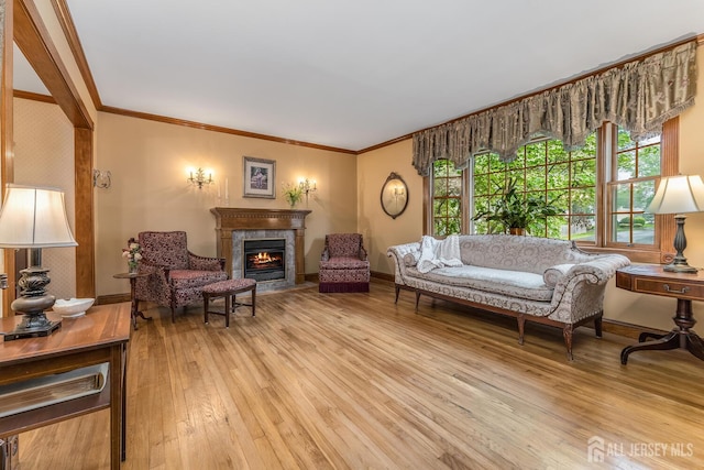 14 Bonnie Brook Ter, Middlesex, NJ 08846 - living area with light wood-style flooring, a glass covered fireplace, ornamental molding, and baseboards
