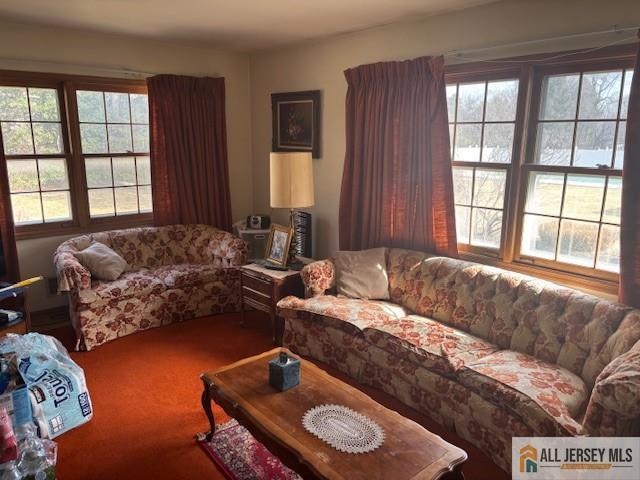 carpeted living area with a wealth of natural light