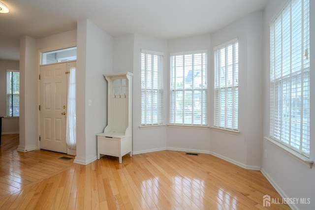 12 Elsie Dr, Plainsboro, NJ 08536 - foyer with light wood-type flooring, plenty of natural light, and baseboards