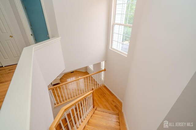 12 Elsie Dr, Plainsboro, NJ 08536 - photo 36