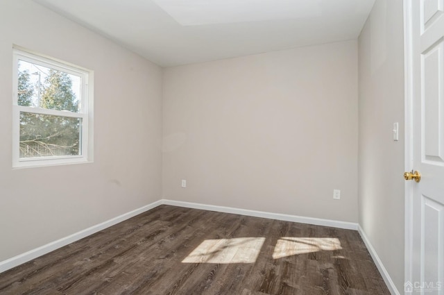 23 Hazelhurst St, New Brunswick, NJ 08901 - unfurnished room with dark wood finished floors and baseboards