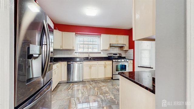 kitchen with stainless steel appliances, backsplash, a sink, and under cabinet range hood