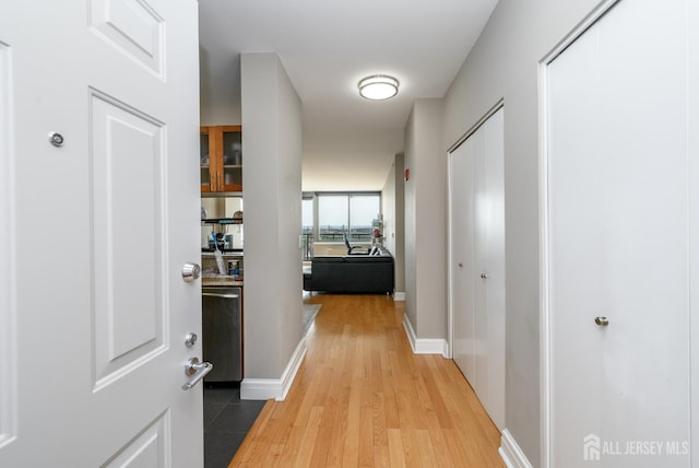 1 Spring St Unit 1206, New Brunswick, NJ 08901 - hall with light wood-style floors and baseboards
