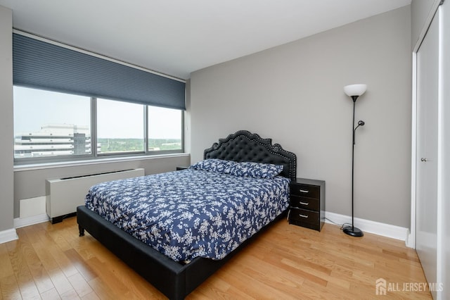 1 Spring St Unit 1206, New Brunswick, NJ 08901 - bedroom featuring radiator, light wood finished floors, and a closet