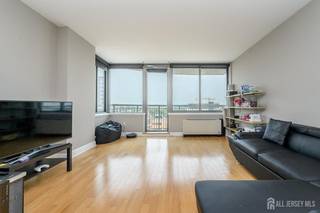 1 Spring St Unit 1206, New Brunswick, NJ 08901 - living area featuring wood finished floors and radiator heating unit