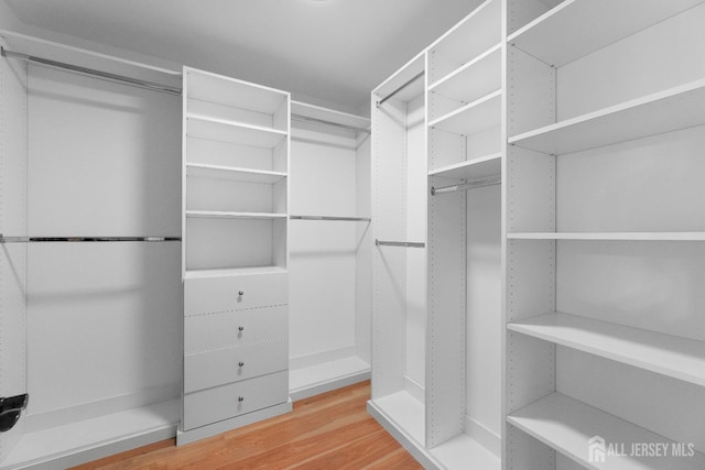 55 Dahlia Ct, Piscataway, NJ 08854 - walk in closet featuring wood finished floors