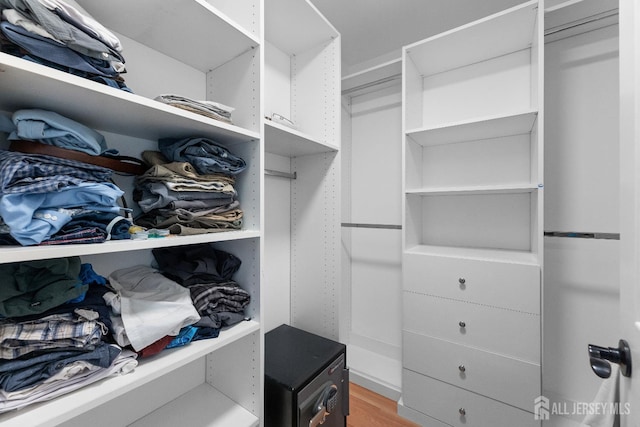 55 Dahlia Ct, Piscataway, NJ 08854 - spacious closet with light wood-style flooring