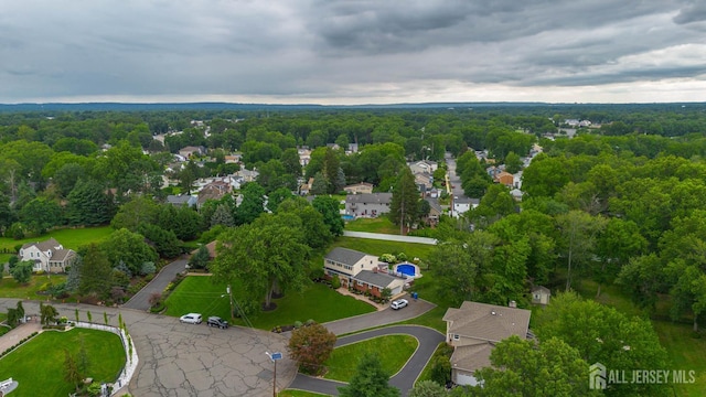 31 Runnymede Rd, Colonia, NJ 07067 - photo 37